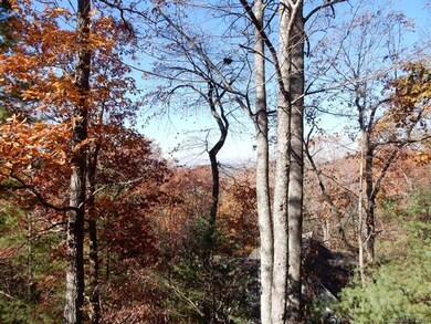 114 Ballantree Dr, Asheville, NC 28803 - photo 2