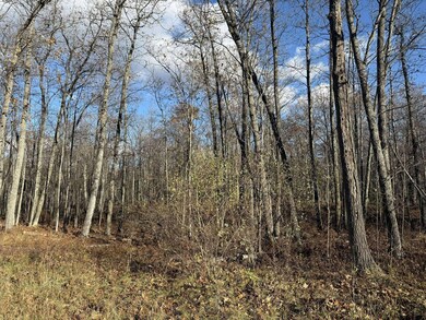 Oak trees