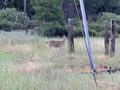 70 Oak Ave, Hayfork, CA 96041 - photo 4