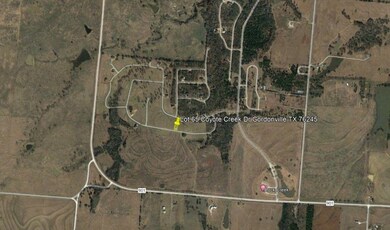 Lot 65 Coyote Creek Dr, Gordonville, TX 76245 - photo 4