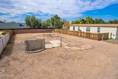 6 - Javelina