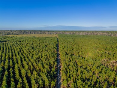 0 Anita St, Waycross, GA 31503 - photo 4