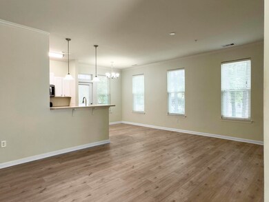 1225 Blakeway St unit 703, Daniel Island, SC 29492 - photo 4