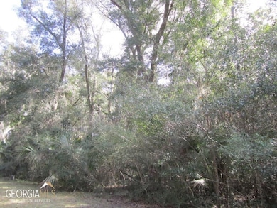 V/L 1005 Doubloon Ct, St. Marys, GA 31558 - photo 4