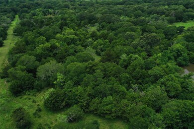 TBD Farm To Market 2452, Corsicana, TX 75110 - photo 6