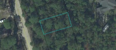 141 Duane Dr, Crawfordville, FL 32327 - photo 3