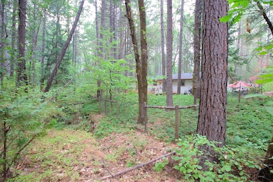 an acre of beautiful natural grounds