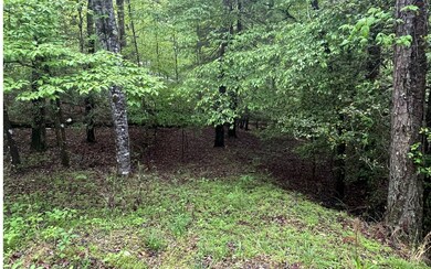 Additional View