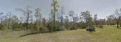 2218 Honea Egypt Rd, Magnolia, TX 77354 - photo 4