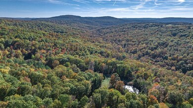 14161 Low Gap Rd, West Fork, AR 72774 - photo 4