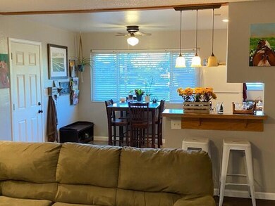 IMG_0978