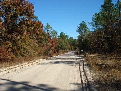 0 Crawfordville Ave, Crawfordville, FL 32327 - photo 3