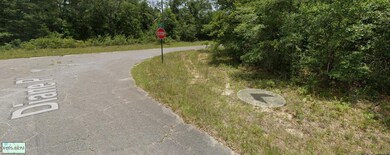Lot 37 Diane Place, Chipley, FL 32428 - photo 4