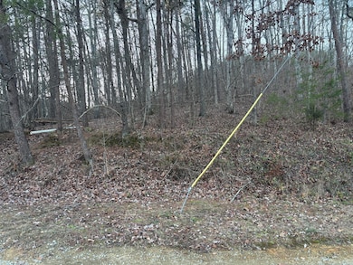 0 Twin Lakes Rd, Lafayette, GA 30728 - photo 7