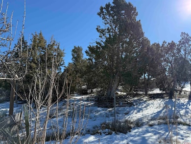 14874 Colorado 145, Dolores, CO 81323 - photo 3