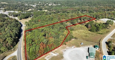 249 Highway 216, Montevallo, AL 35115 - photo 4