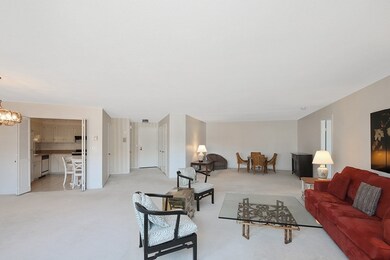 Imperial Towers unit 505, Chestnut Hill, MA 02467 - photo 3