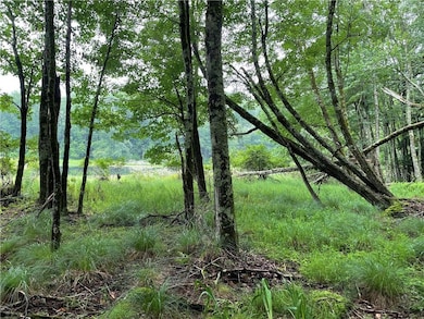 10.7 & 10.9 Cty Hwy 141 Horseshoe Lake Rd, Bethel, NY 12720 - photo 7