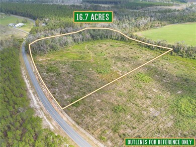 Tract #6 - 0 Saddleclub Rd, Hoboken, GA 31542 - photo 7