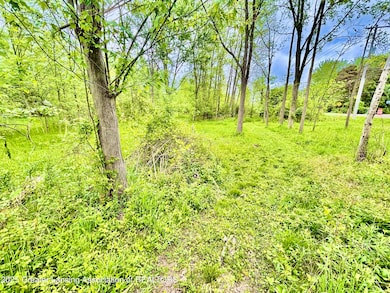 0 Lot B Willow, Lansing, MI 48917 - photo 7