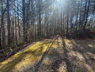Lot 33 E Ridge Ln, Ellijay, GA 30536 - photo 4