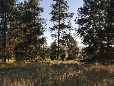 Nicely Wooded For Privacy & Shade