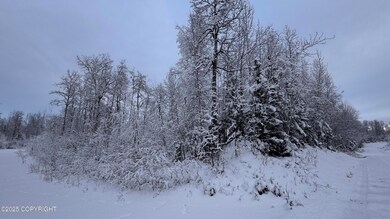 48609 S Tussle Cir, Willow, AK 99688 - photo 5