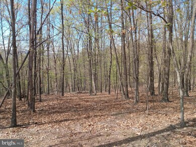 Lot 83 Roundtop Ln, Berkeley Springs, WV 25411 - photo 2