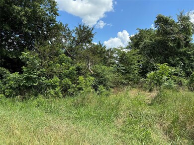 38075 Brookside Ct E, Whitney, TX 76692 - photo 2