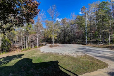 9498 US Highway 176, Pomaria, SC 29126 - photo 2