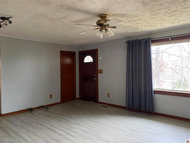 191 Hill Rd, Grand Rivers, KY 42045 - photo 3