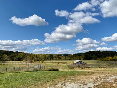 IMG_6385 3