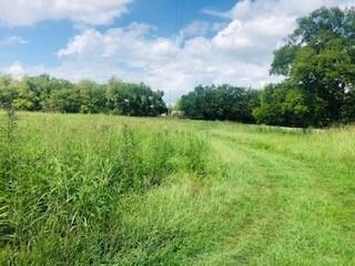 0 Ernest Campbell Rd unit 2074425, Shelbyville, TN 37160 - photo 2