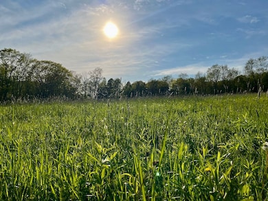 Wp 0 Rolling Meadows Ed unit LotWP000, Livingston Manor, NY 12758 - photo 4