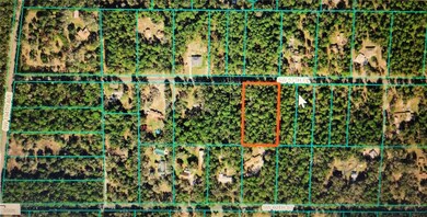 LOT 53 SW 57th Place, Dunnellon, FL 34432 - photo 4