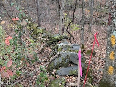 L24.1 Darfler Ln, Granville, NY 12832 - photo 6