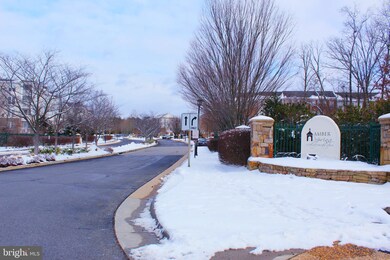 24741 Stone Station Terrace, Stone Ridge, VA 20105 - photo 7