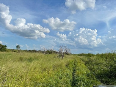 6876 5th Rd, Labelle, FL 33935 - photo 2