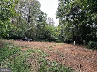 0 Blue Ridge Mountain Rd unit VALO2105128, Paris, VA 20130 - photo 4