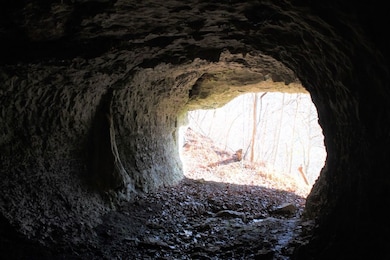 Tiny Jones Road Wp Lot unit 2, Stanton, KY 40380 - photo 4