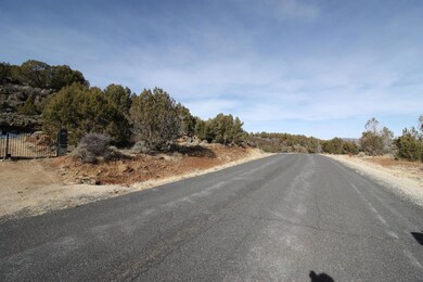 2976 Juniper Way unit Lot 243, New Harmony, UT 84757 - photo 4