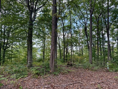 80 Paradise Aly, Russell Springs, KY 42642 - photo 7