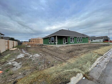 162 Paul Pena Dr, San Marcos, TX 78666 - photo 5