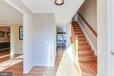 6908 Newberry Dr, Columbia, MD 21044 - photo 3