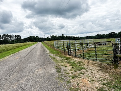 0 David Patterson Rd, Lutts, TN 38471 - photo 3