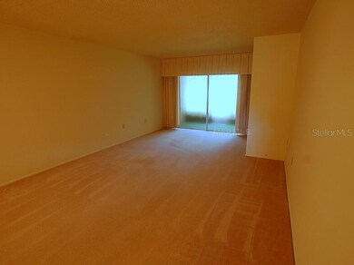 865 Virginia Ct unit 102, Dunedin, FL 34698 - photo 2