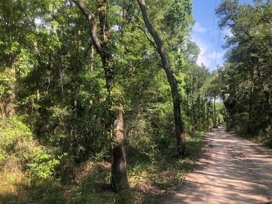 0 Whippoorwill Ln unit 295772, Crawfordville, FL 32327 - photo 4