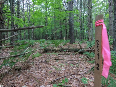 0000-Unit 39 Trailside Dr, Weldon Township, MI 49683 - photo 5