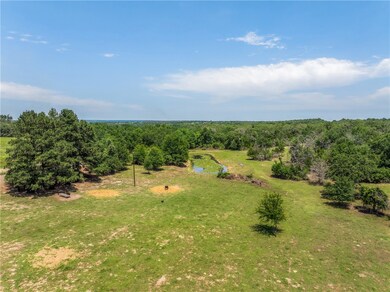 Bird's eye view of a forest