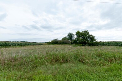 0 Hwy 40, Bruce, WI 54819 - photo 4